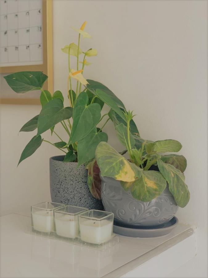 Buritaca House 게스트하우스 외부 사진